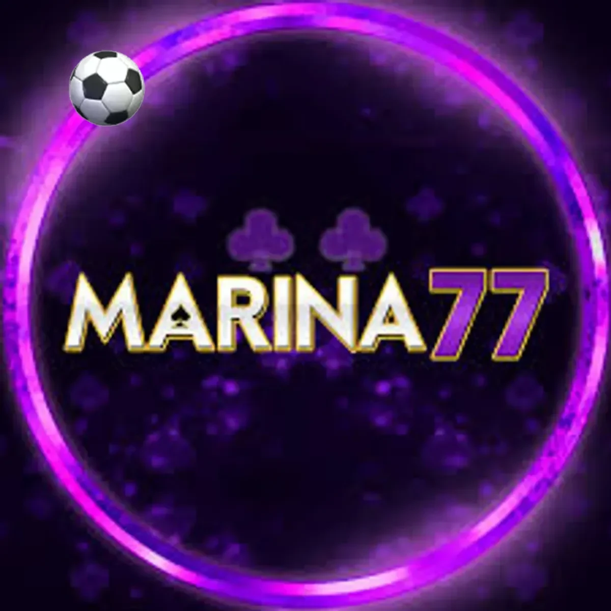 Logo marina77